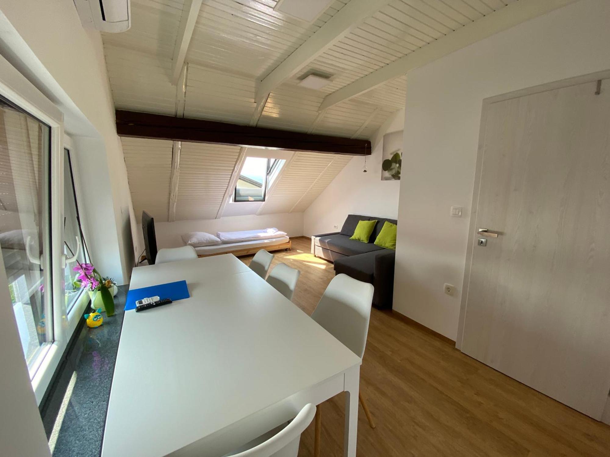 לובליאנה Vila Ada - 4 Cosy Apartments חדר תמונה